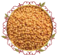 خردل أبيض White Mustard Seeds