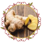زنجبيل Ginger