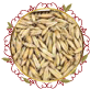 شوفان (حب) Oats (Seeds)