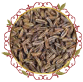 كراوية Caraway