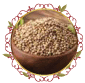كزبرة حب Coriander Seed
