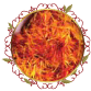 ملون صفار الزعفران Saffron Color