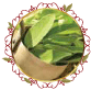 ميرمية Sage