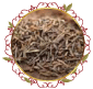 يانسون حب Anise Seeds